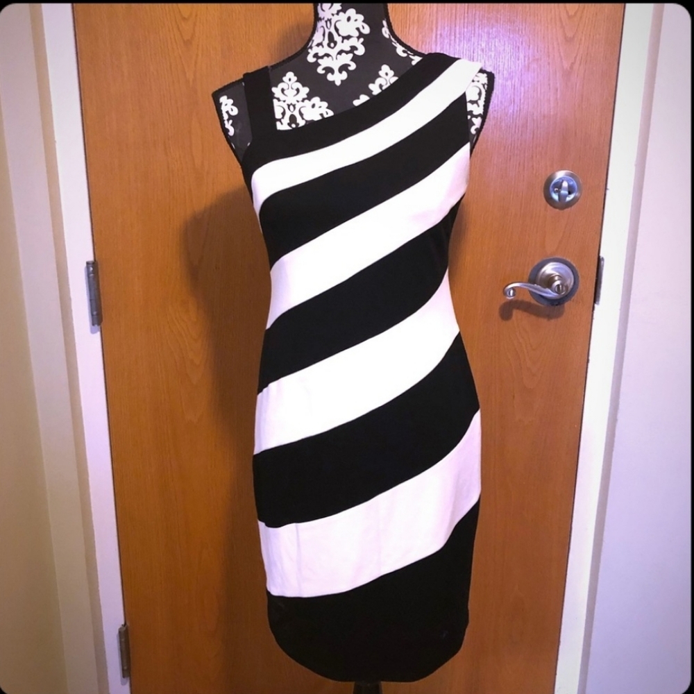 NWOT Black white striped Muse dress